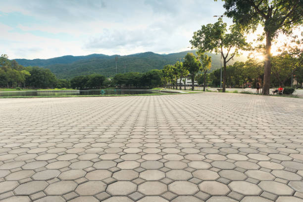 Best Concrete Paver Driveway  in Conroe, TX